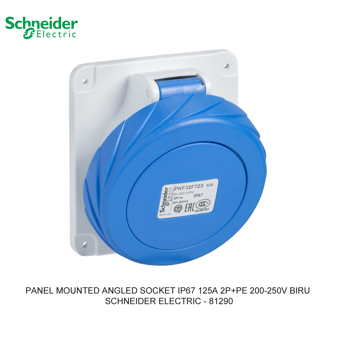 PANEL MOUNTED ANGLED SOCKET IP67 125A 2P+PE 200-250V BIRU