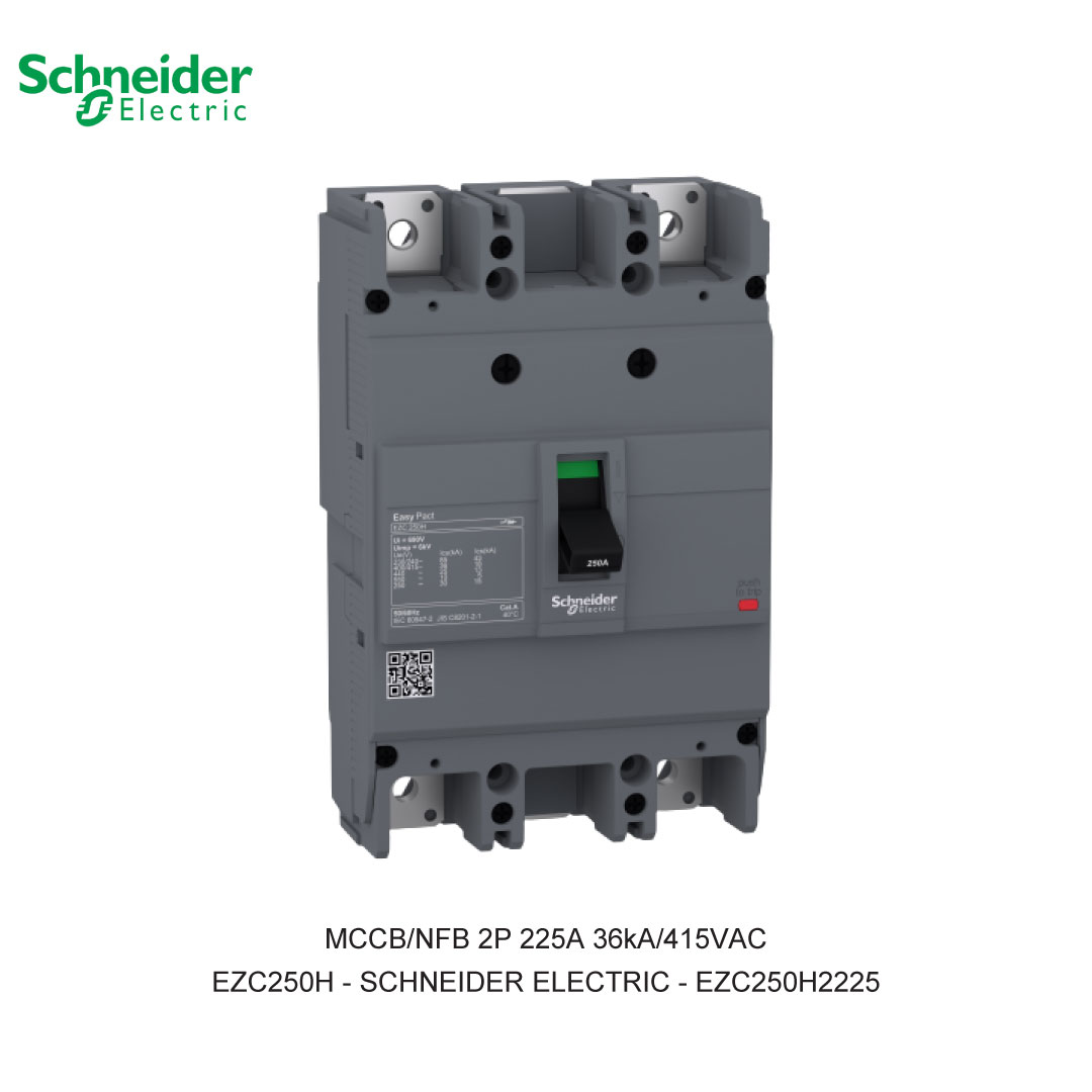 MCCB/NFB 2P 225A 36KA/415VAC