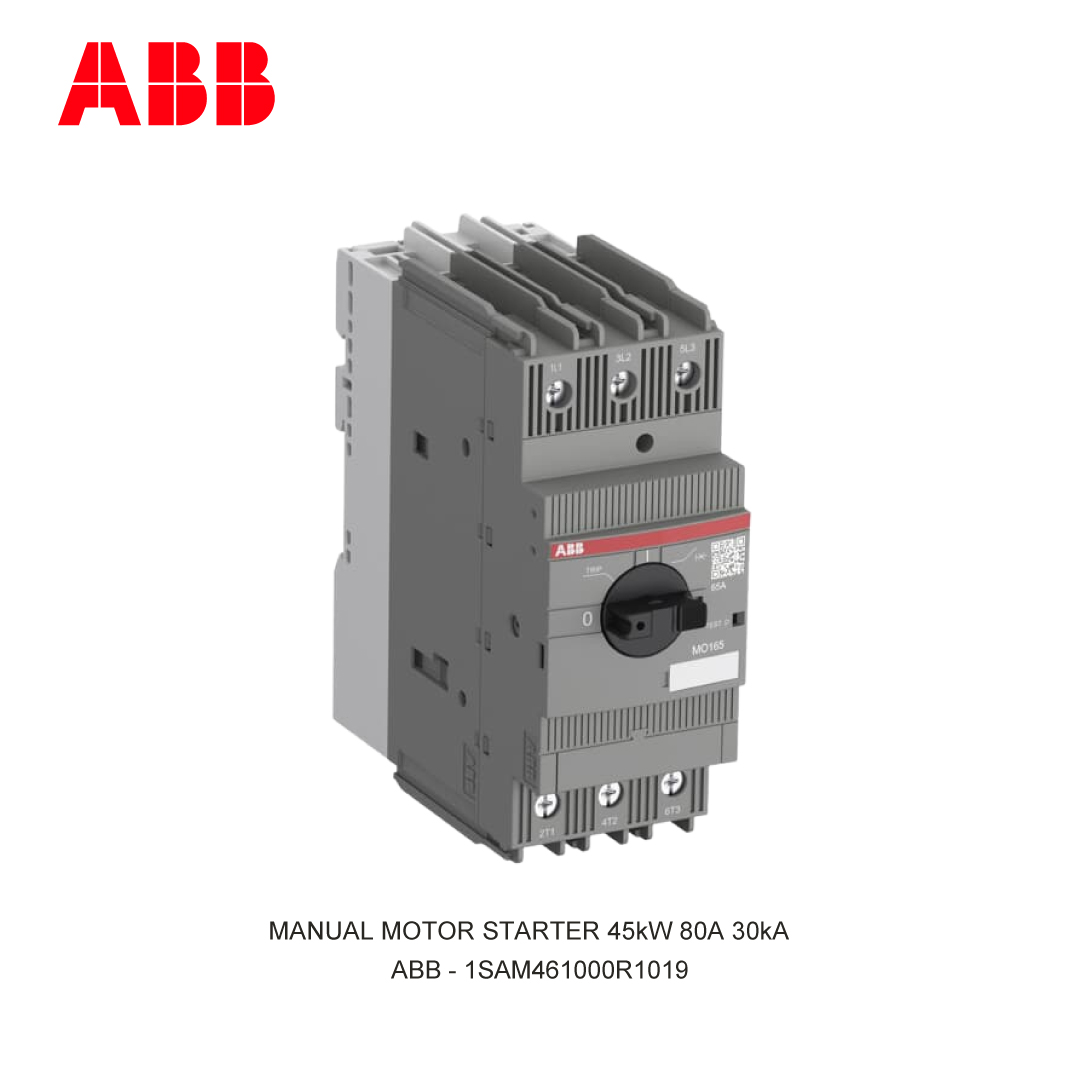 MANUAL MOTOR STARTER 45kW 80A 30kA